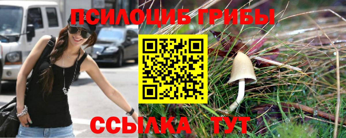 Грязи  Псилоцибиновые грибы Cubensis  Псилоцибиновые грибы MAGIC MUSHROOMS  купить   Вход с VPN 