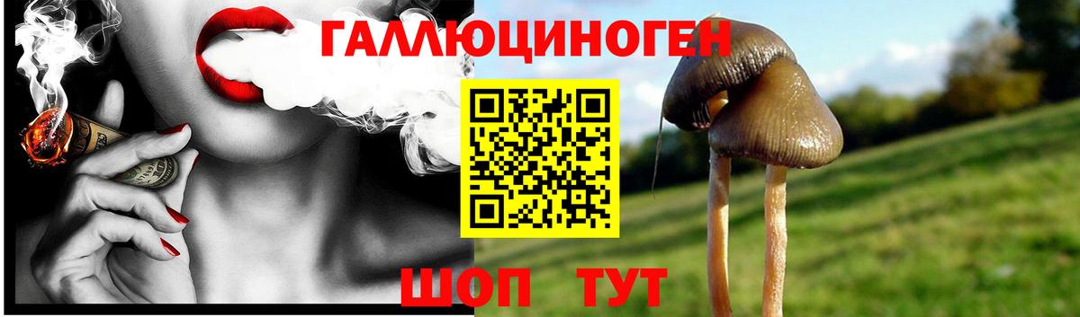 Псилоцибиновые грибы GOLDEN TEACHER Грязи